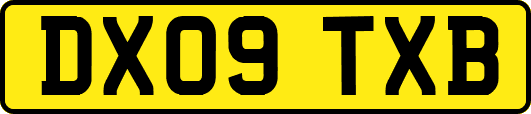 DX09TXB