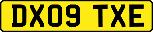 DX09TXE