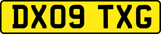 DX09TXG