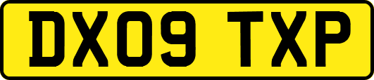 DX09TXP