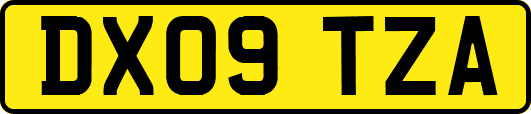 DX09TZA