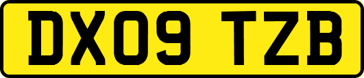DX09TZB