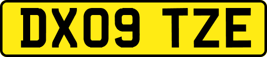 DX09TZE