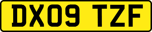 DX09TZF