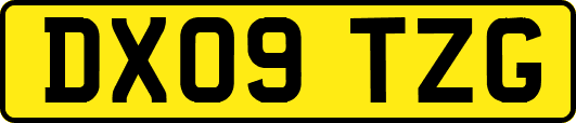 DX09TZG