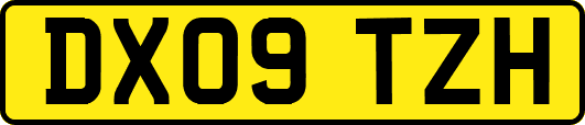 DX09TZH