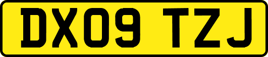 DX09TZJ