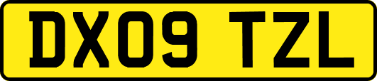 DX09TZL