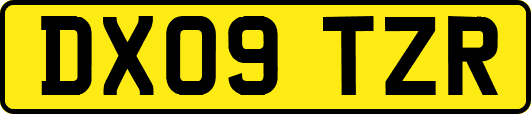 DX09TZR