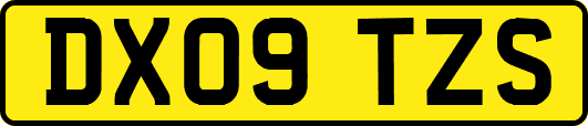 DX09TZS
