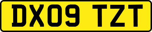 DX09TZT