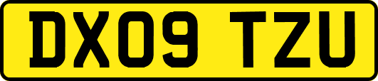 DX09TZU
