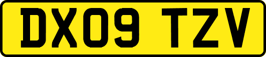 DX09TZV