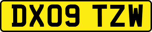 DX09TZW