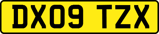 DX09TZX