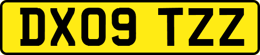 DX09TZZ