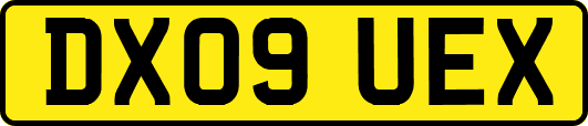 DX09UEX