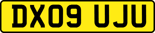 DX09UJU