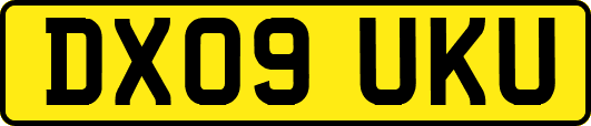 DX09UKU