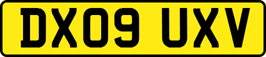 DX09UXV