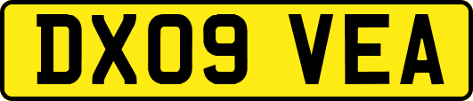 DX09VEA