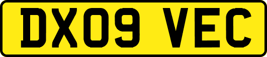DX09VEC