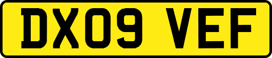 DX09VEF