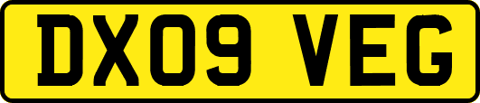 DX09VEG