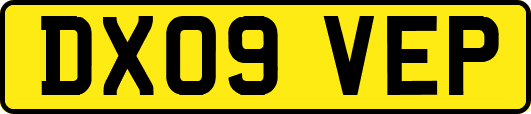 DX09VEP