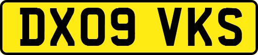 DX09VKS