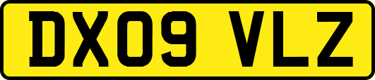 DX09VLZ