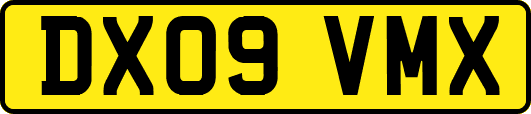 DX09VMX