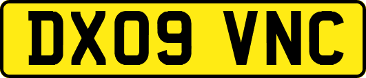DX09VNC