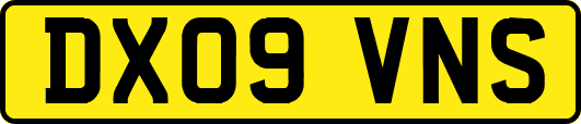 DX09VNS