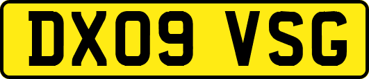 DX09VSG