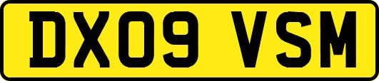 DX09VSM