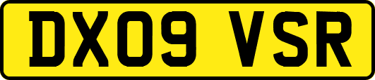 DX09VSR