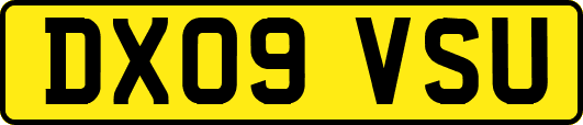 DX09VSU