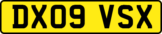 DX09VSX