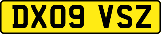 DX09VSZ