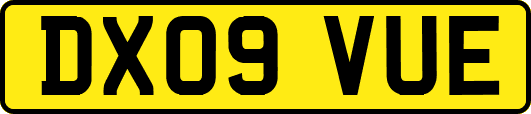 DX09VUE
