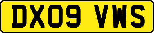 DX09VWS
