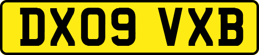 DX09VXB