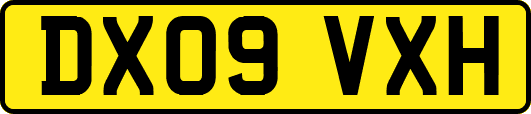 DX09VXH