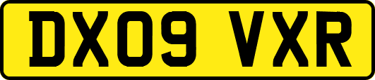 DX09VXR