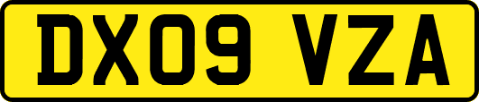 DX09VZA