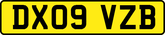 DX09VZB