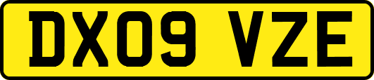 DX09VZE