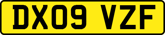 DX09VZF