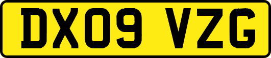 DX09VZG